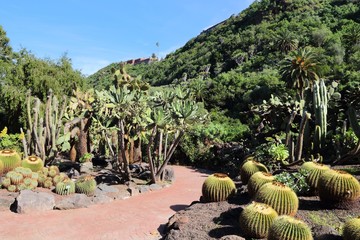 jardin canario - botanical garden of gran canaria