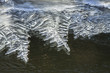 Struktury stworzone przez lód