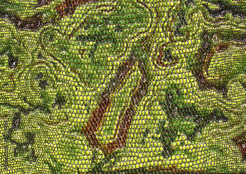 Snakeskin Print In Green And Reddish Brown Buy This Stock Photo