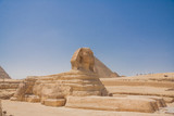 Fototapeta Nowy Jork - Sphinx and Pyramid in Giza