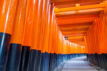 Thousands of vermilion torii gates at Kyoto Fushimi Inari Shrine