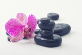 Fototapeta Panele - Spa Stones and Orchid