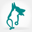 dog, cat and stethoscope logo.