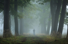 Man Walking Alone In A Lane On A Foggy, Autumn Morning. Shallow D.O.F.