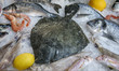 Raw flounder, dorade, seabass, shrimps lie on ice. Sea fish food. Closeup