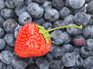 Canvas Print - Strawberry and Blueberries