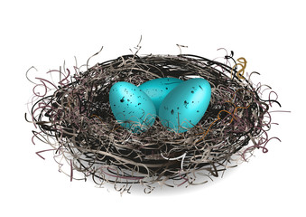 Robins nest with 3 eggs in it. Isolated on a white background