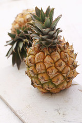 Wall Mural - dwarf mini pineapple