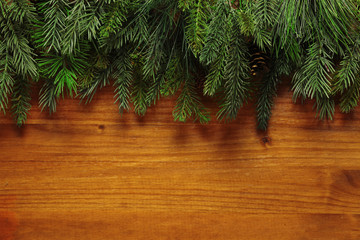Wall Mural - christmas tree branches background