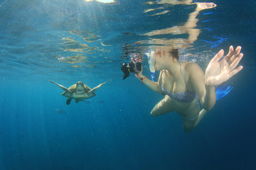 Sticker - sea turtle and young woman snorkeling and photographing it