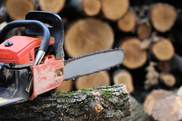 Wall Mural -  Chainsaw and tree