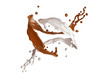 chocolate splash white and brown with clipping path