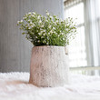 Spring white flowers in flower pot
