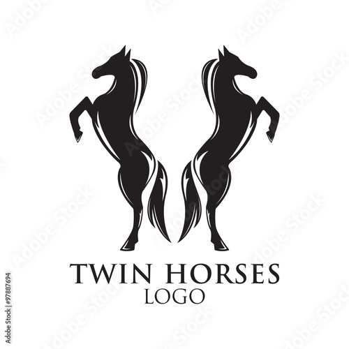 Гороскоп близнецы лошадь. Лошадь Близнецы женщина. Логотип лошадь богатый. Девушка близнец и лошадь. Лошади Близнецы.