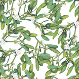 Fototapeta Konie - Seamless background with green Christmas mistletoe holly branches. Original watercolor hand drawn pattern.