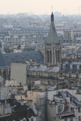 Poster - The view from Notre-Dame de Paris, 2010