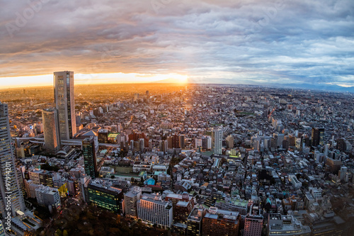 東京新宿からの風景 Building group of shinjuku, Tokyo, Japan Wallpaper Mural