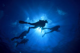 Fototapeta  - Scuba diving