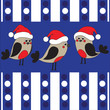  Funny birds in a christmas hats