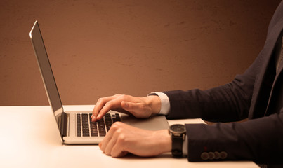 Wall Mural - Businessman is suit working on laptop