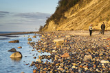 Fototapeta Morze - Kamienista plaża pod klifem w Wolińskim Parku Narodowym