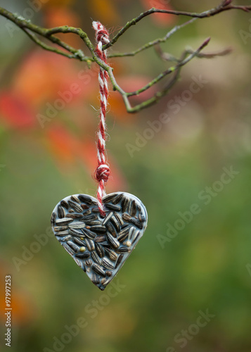 Fotografía Heart shaped bird feeder hanging on the tree