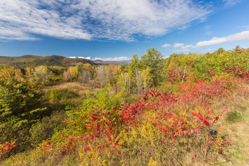 Wall Mural - Colorful White mountain National forest in autumn, New  Hampshir