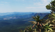 Aloe Bush On The Background Of A Mountain Valley