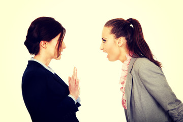 Wall Mural - Two angry businesswomans.