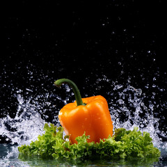 Studio shot with freeze motion of peppers in water splash on bla