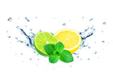 Fototapeta Dinusie - lemon and lime splash isolated