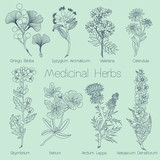 Set of Medical Herbs