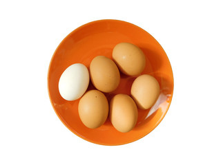 Poster - eggs on white background