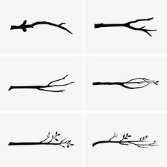 tree branches