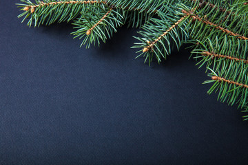 Wall Mural - Christmas tree branch on a black table or board for background.