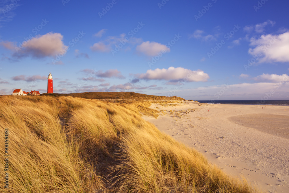 Lighthouse on Texel island in The Netherlands in morning light - obrazy, fototapety, plakaty 