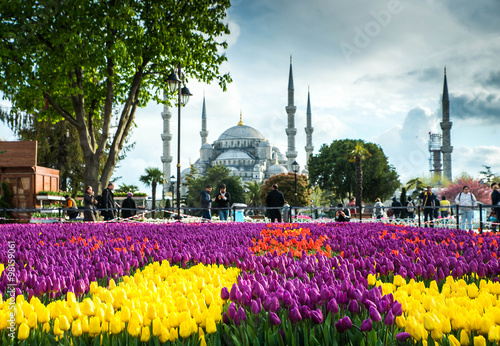 Istanbul the capital of Turkey, eastern tourist city. Poster
