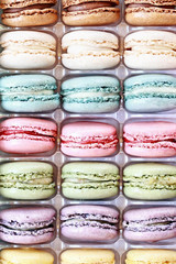 Wall Mural - Tray of Fresh Colorful Macarons