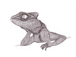 Profile Lizard. Hand drawn.Graphic style