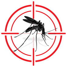Signaling, Mosquitoes With Mosquito Target. Mira Signal