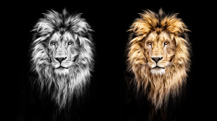 portrait of a beautiful lion, lion in the dark, oil paints