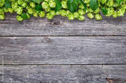 Láminas Wooden background with fresh green hop frame