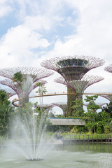 supertree grove in garden by the bay - singapore