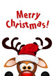 Funny Christmas Reindeer 