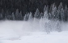 A Cold Frosted Spruce Forest With A Foggy Snowy Creek In The Foreground