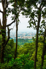 Canvas Print - Chiangmai city view with tree foreground