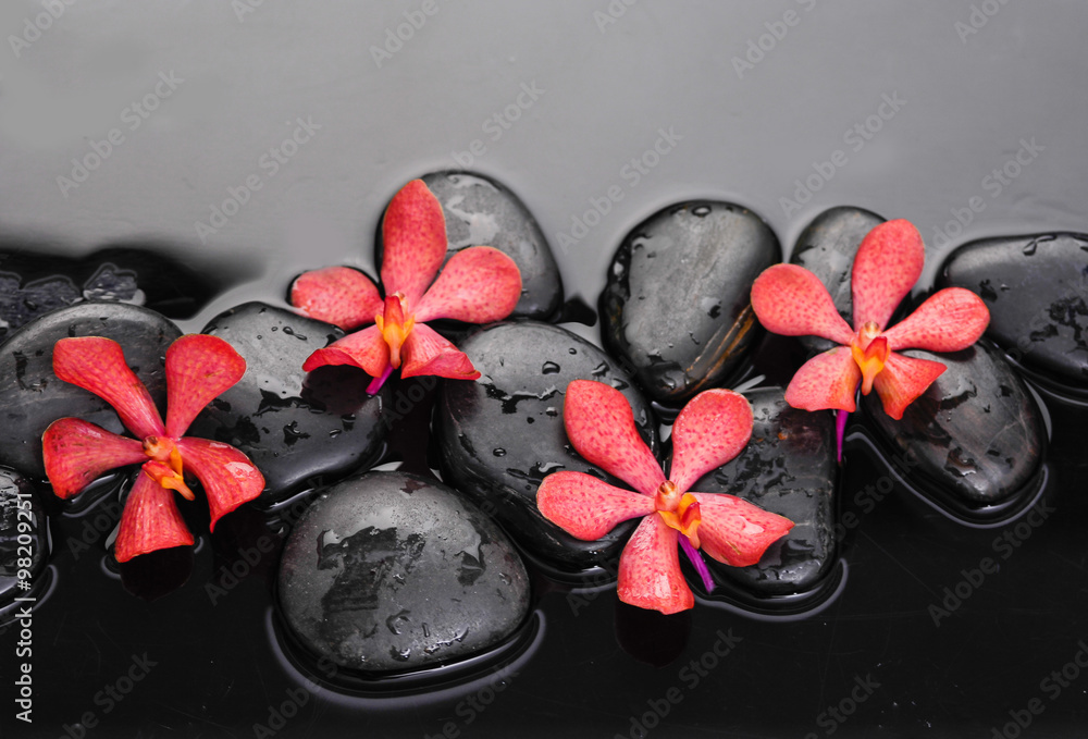 piekna-czerwona-orchidea-z-terapia-kamieniami