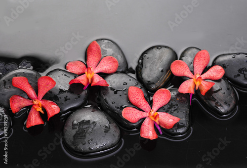 Fototapeta na wymiar Beautiful red orchid with therapy stones 