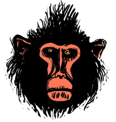 Poster - Monkey head vector illustration