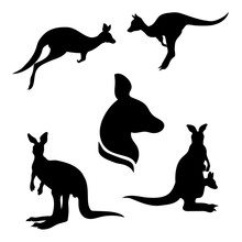 Kangaroo Set Vector